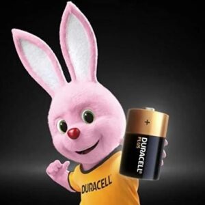 (N) D Battery X2 Duracell