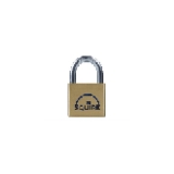 Henry Squire LN4 Lion Brass Padlock 5 Pin 40mm